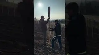 High-density vine planting for bold, quality grapes  Precision, teamwork, and great wine ahead! 🍇💪