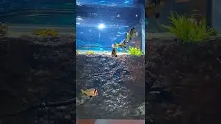 Under water aquarium 😍😍#travel #crewtravel