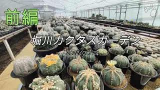 堀川カクタスガーデンへ行ってきました！　「前編」