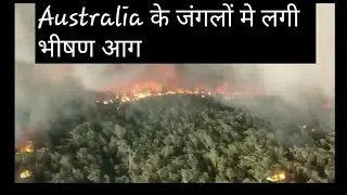 Australia ke jungle me lagi aag/Australia ask fot help/ऑस्ट्रेलिया के जंगल मे लगी आग /Jharkhand News