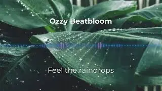 Feel the raindrops - Ozzy Beatbloom