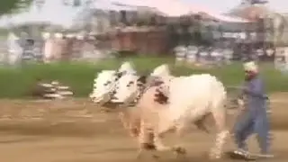 آیا بجلی پنڈ سہال آلہ