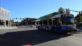 Pierce Transit 2009 New Flyer C40LFR CNG 242 On The 3 @ Pacific Avenue & S 17th Street