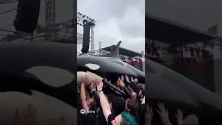 #OrcaSurfing, #CrowdSurfing, #MusicFestival, #FestivalVibes, #ConcertLife, #HeavyMetal, #MoshPit