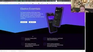 Elastos: Quick overview