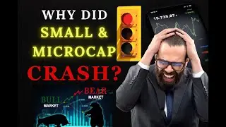 Why did market, smallcap, midcap and microcap crash? | What to do and how to act?