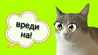 Лин чу Вредина!😤