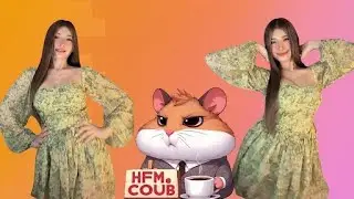 HFM COUB BEST CUBE Coub Приколы 2026 entertainment show, video collection from all over the world