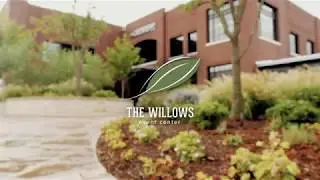 Willows Meeting Rooms Video