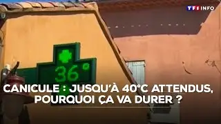 Canicule : jusqu'à 40°C attendus ce week-end, pourquoi ça va durer ?｜TF1 INFO