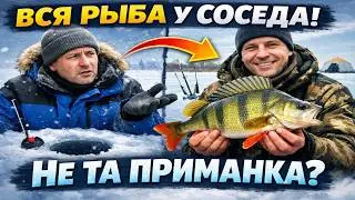 Хватит ныть на погоду! Вот почему в январе клюёт у соседа, а не у тебя