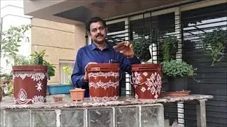 How to Use Groundnut Cake Fertilizer Telugu | పల్లి చెక్క తో మొక్కలకి మంచి ఫర్టిలైజర్