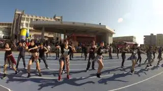 gopro 305