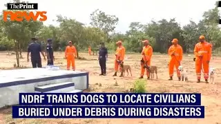 NDRF trains dogs to locate civilians buried under debris during disasters in Tamil Nadu