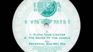Potential Bad Boy - The Sound Of The Jungle (Potential Bad Boy Mix)  IRO-38