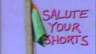 Salute Your Shorts Music: Theme Song [Season 1]