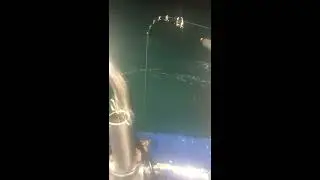 毅定要釣魚🐟F.0B18 白帶魚勝豐 待續...
