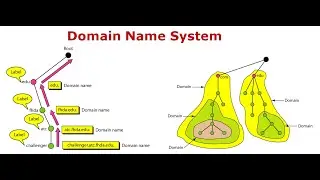 Domain Name System in Data Communication and Networking