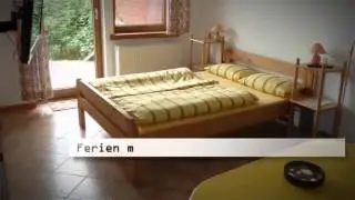 Dahme Ostsee Ferien mit Hund Ostsee Ferien mit Hund Urlaub und Hund Ferienwohnungen Dahme