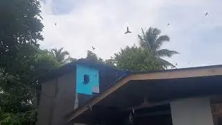 Respon di siang hari, sp anti galau, 999😘😘🤗