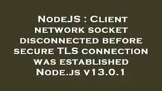 NodeJS : Client network socket disconnected before secure TLS connection was established Node.js v13