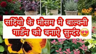 सदिॅयो मे बनाऐ बालकनी गाॅडन को सुन्दर 😍 / small pot gardening / 