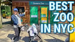 BEST ZOO IN NYC | Full Tour of Queens Zoo | Flushing Meadows Corona Park | Things to Do in NYC