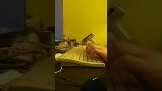 Apple extended keyboard II sound test with ivory alps