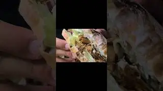 ASMR JUICY CHICKEN KEBAB (EATING SOUNDS) MUKBANG