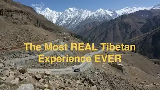 High-Altitude Tibetan Family Village | Yak Feast, Barley Wine & True Hospitality | Tibetan Style