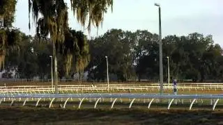 Hunting Money work 1-28-2012.MP4