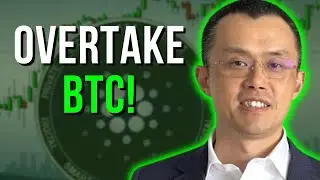 Генеральный директор Binance ПОДТВЕРДИЛ, что Cardano станет криптовалютой №1 в следующем году!