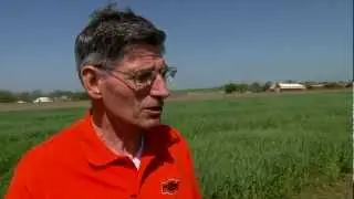 Market Monitor: Grain Market Analysis