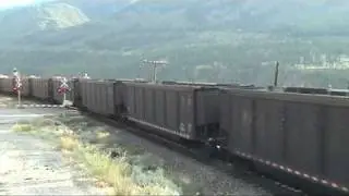 CP 8749
