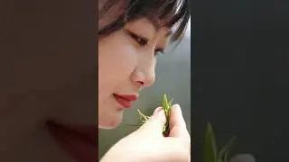 The Taste of Spring&middot;Laoshan Tea 春之味&middot;崂山茶