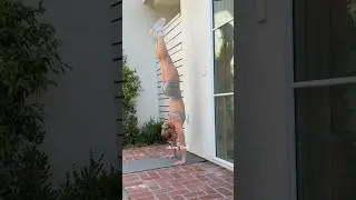 How to do a handstand right at home🤸🏼 All you need is a wall + a yoga mat🤍 #gymnastics #tips