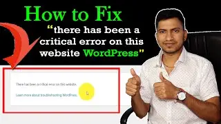 How to Fix there has been a critical error on this website WordPress