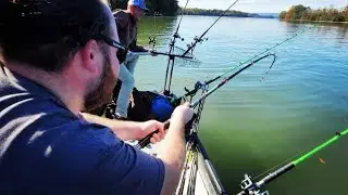Deep Dropping GIANT BAITS for Tennessee River Blue Catfish!