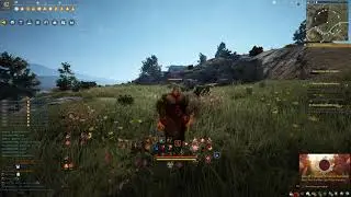 BDO Striker Awakening PVE combo