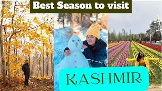 Best season to visit kashmir|kashmir travel vlog | tamil|kashmir|kashmir tour|sindhu solo traveller