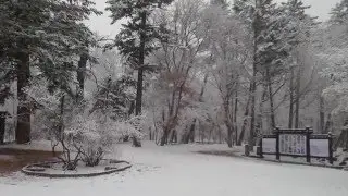 광릉 Kwangneung arboretum-Winter 2015 [offered Korean filter-www.koreanfilter.com]