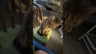 В центре внимания &mdash; Уинстон