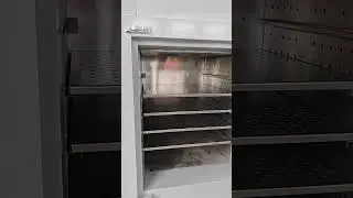 Hot air circulation intelligent constant temperature oven (for drying/curing)