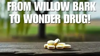 Aspirin: The History, Chemistry, and Benefits of This Miracle Drug