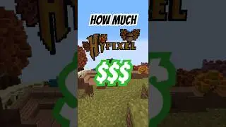 How much Money does Hypixel make? #hypixel #minecraft