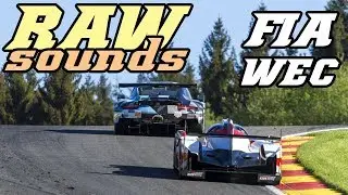 RAW sounds - 991 RSR, 488 GTE, LMP1, M8, ... on the Raidillon