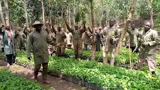 🌳 Over 100,000 trees planted! Workaway.info X Ecologi