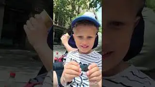 4 мая. 2 день. Круиз. Барселона.