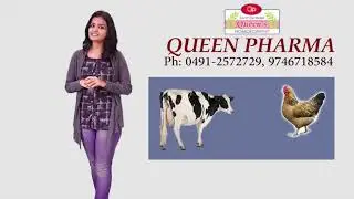 Veterinary Homeopathy Medicine