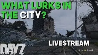 DAYZ XBOX ONE - BEST LOOTING ROUTE | stream highlights
